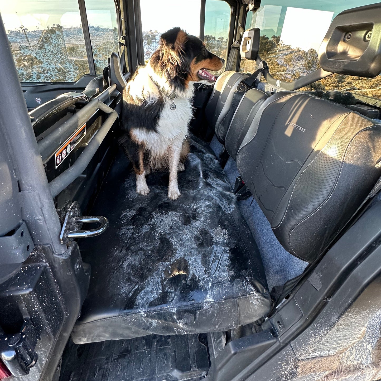 Can-Am Defender MAX Dog Bench